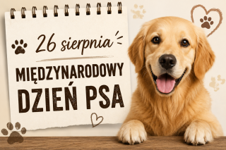 KARTKA Z KALENDARZA - Międzynarodowy Dzień Psa