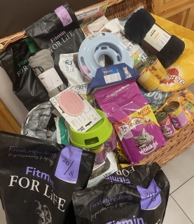 Podziękowanie za udział w akcji charytatywnej na rzecz schroniska dla bezdomnych zwierząt