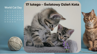 KARTKA Z KALENDARZA – 17 lutego Światowy Dzień Kota KARTKA Z KALENDARZA – 17 lutego Światowy Dzień Kota